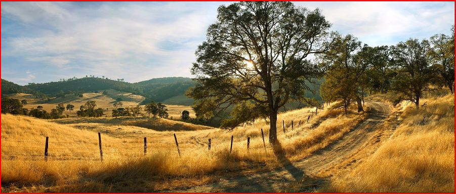 Lonna Tucker Photography - Autumn Road