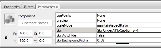 Flash Video Component Parameter Palette